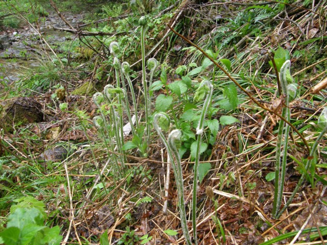 d0134473_14503869.jpg