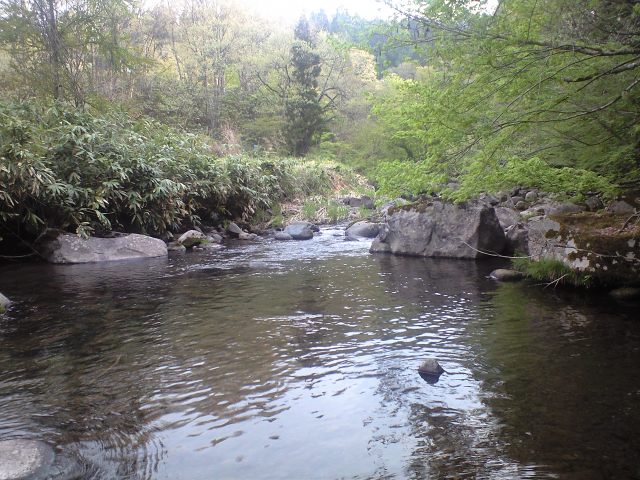 a0093677_21351662.jpg