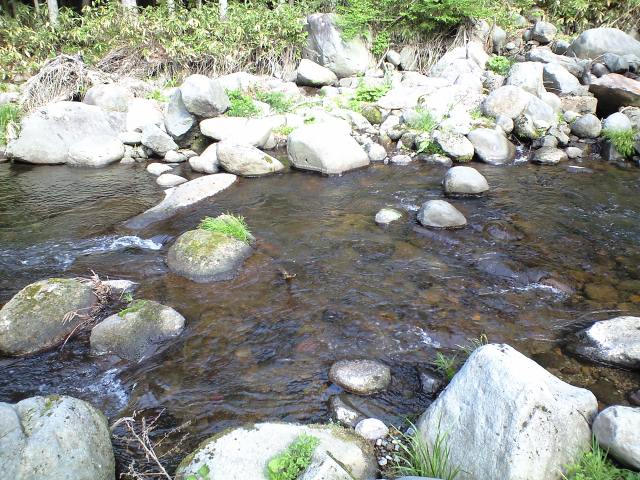 a0093677_2140816.jpg