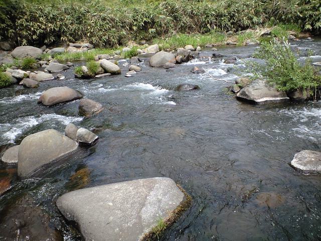 a0093677_2242958.jpg
