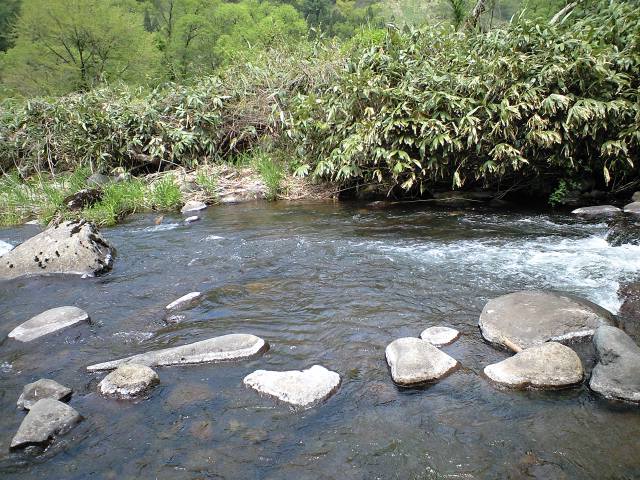 a0093677_2245328.jpg
