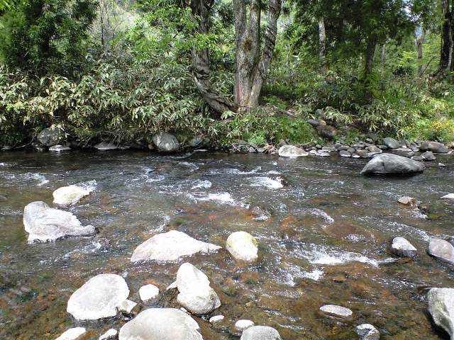 a0093677_2253163.jpg