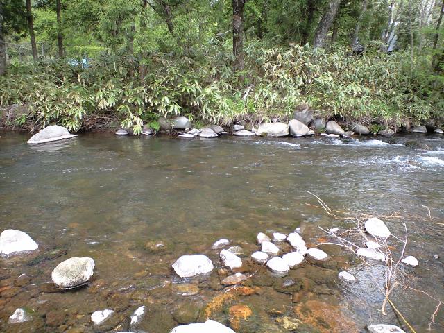 a0093677_2255964.jpg