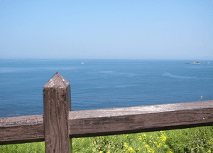 a0007078_15293780.gif