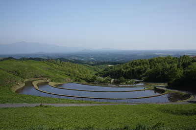 c0152779_17223547.jpg