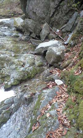 a0091680_2259468.jpg