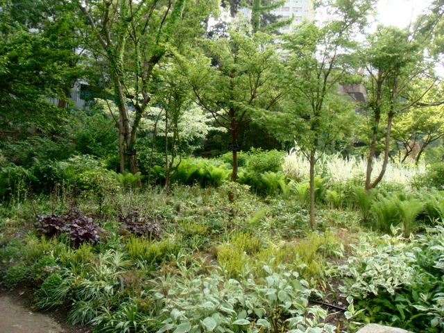 e0154682_2362298.jpg