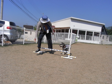 d0137083_8294147.jpg