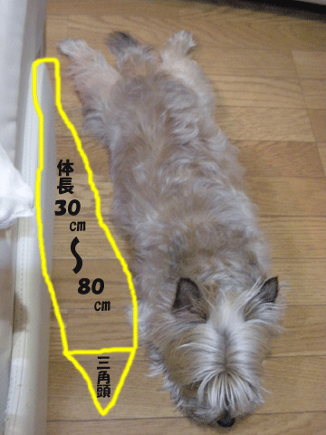 e0066883_22182517.gif