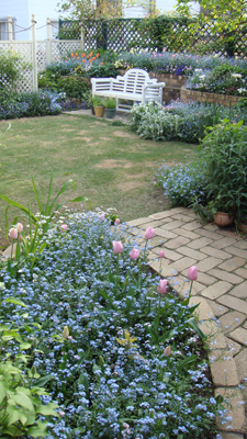 e0008586_21343280.jpg