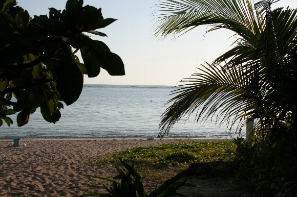 f0142986_10314312.jpg