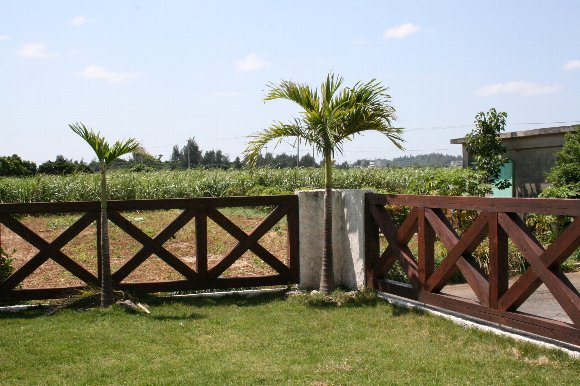 f0142986_952309.jpg