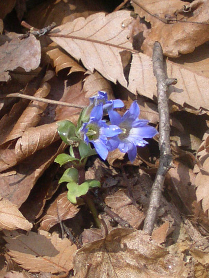 c0158387_22143348.jpg