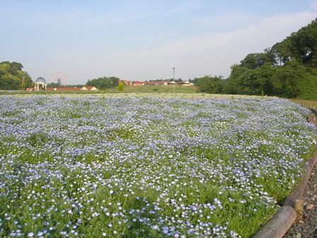 a0045688_0315679.jpg
