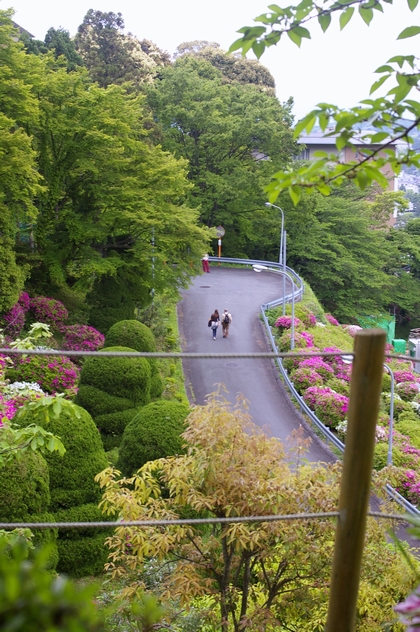 b0080789_139449.jpg
