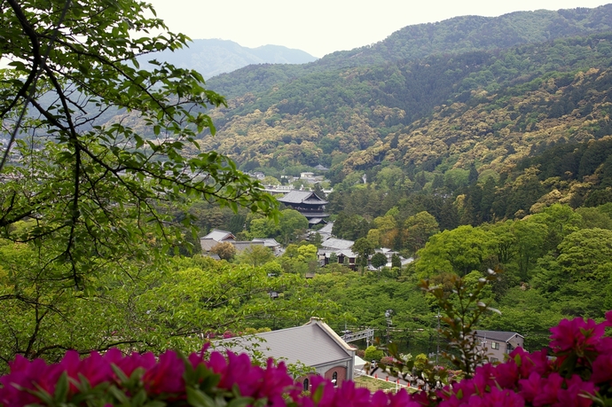 b0080789_1401497.jpg