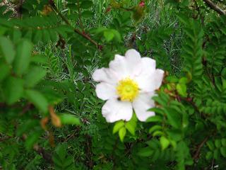 c0002089_23202759.jpg