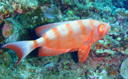 c0018489_0323524.jpg