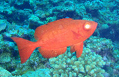 c0018489_0324886.jpg