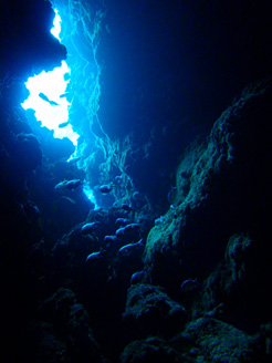 c0018489_0435782.jpg