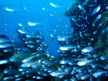 c0018489_2082678.jpg