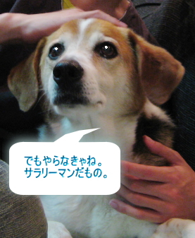 a0063390_0585017.jpg