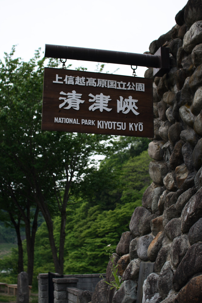 c0040891_11111850.jpg