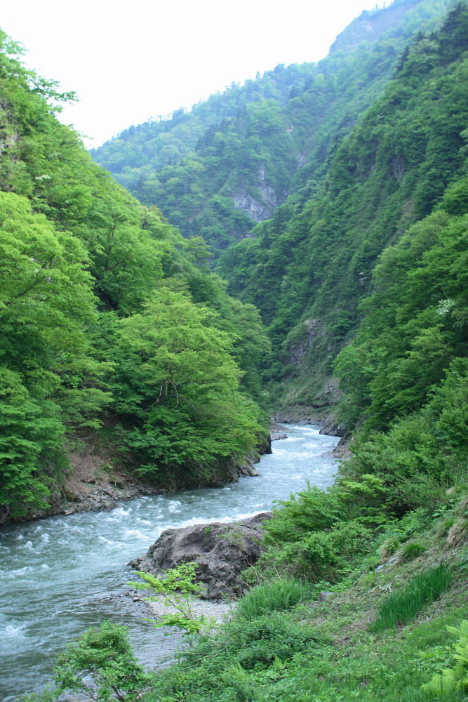 c0040891_11115044.jpg