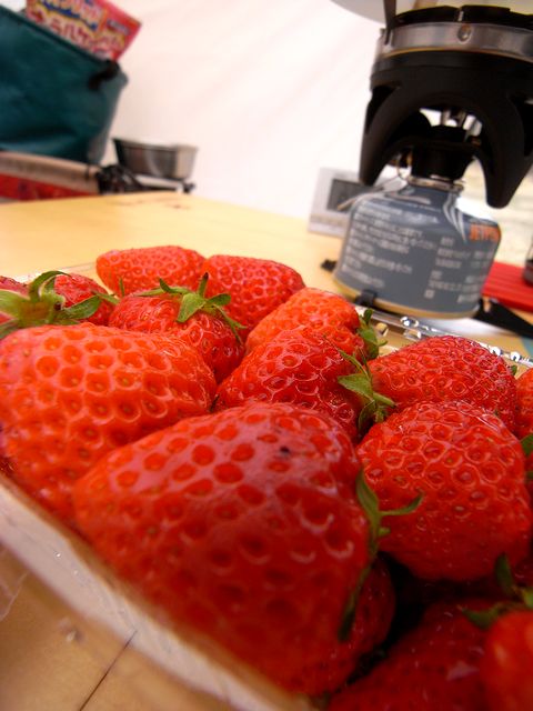 a0093592_2353848.jpg