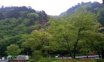 b0029694_1393452.jpg