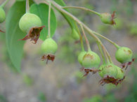 c0161594_232617.jpg