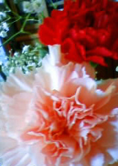 b0124995_17481650.jpg