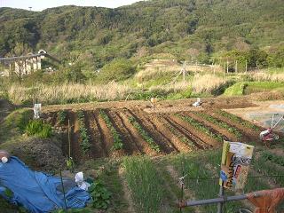 c0187298_2233399.jpg