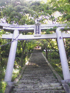 d0000298_23511579.jpg