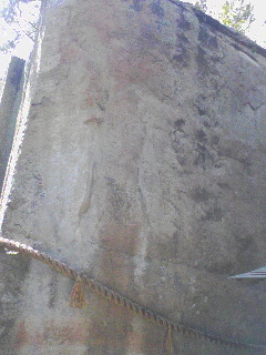 d0000298_2357249.jpg