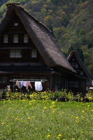 b0180907_23482440.jpg