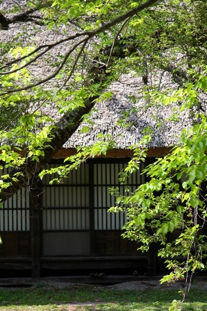 b0180907_2348398.jpg