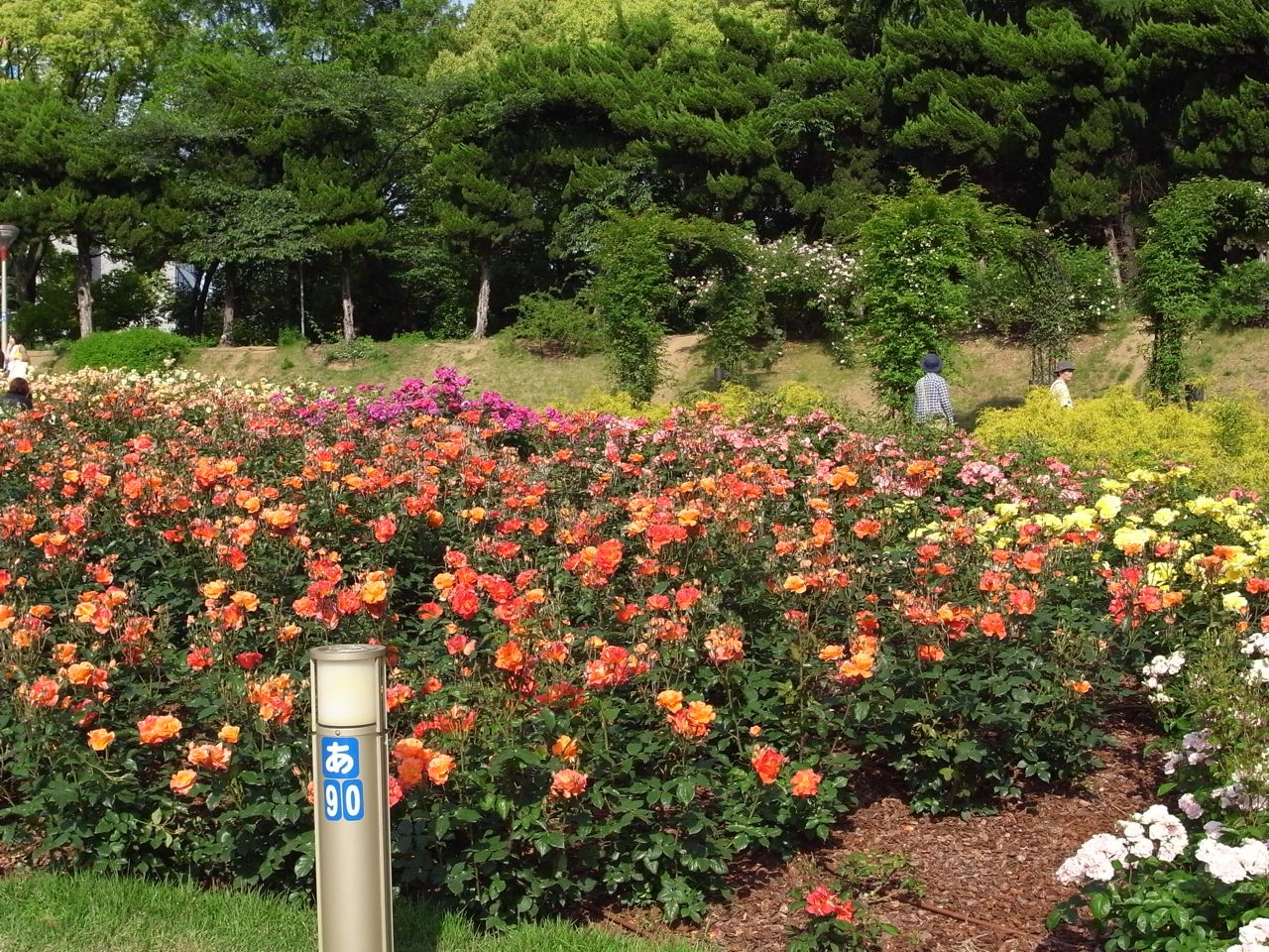 e0129107_1714789.jpg