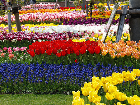 a0041508_17504362.jpg