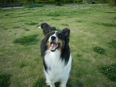 e0130008_20492643.jpg