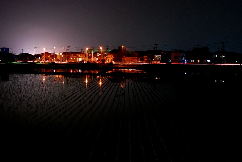 b0128609_030443.jpg