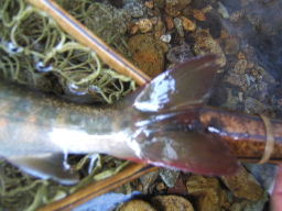 f0079411_18305049.jpg