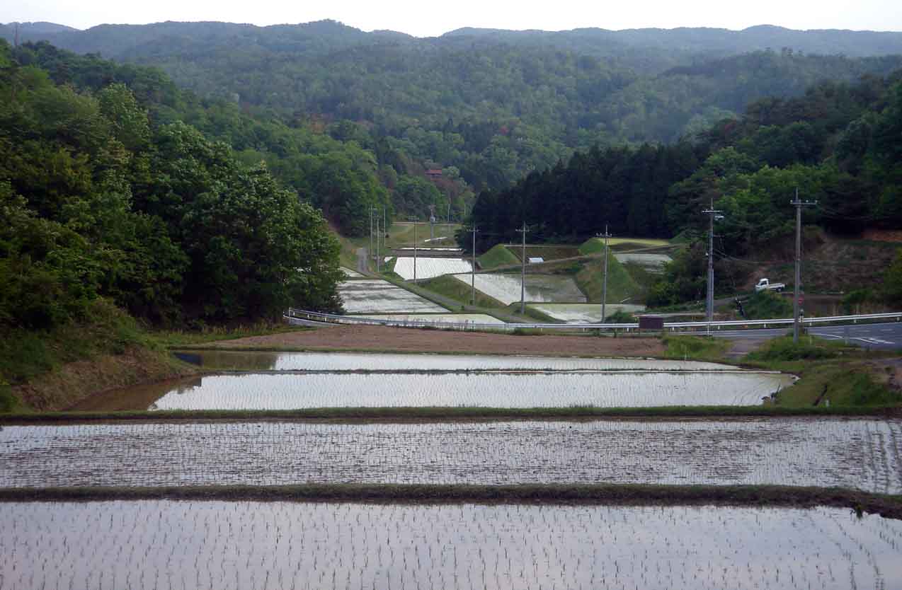 e0083820_120947.jpg