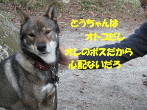 f0143123_205921100.jpg