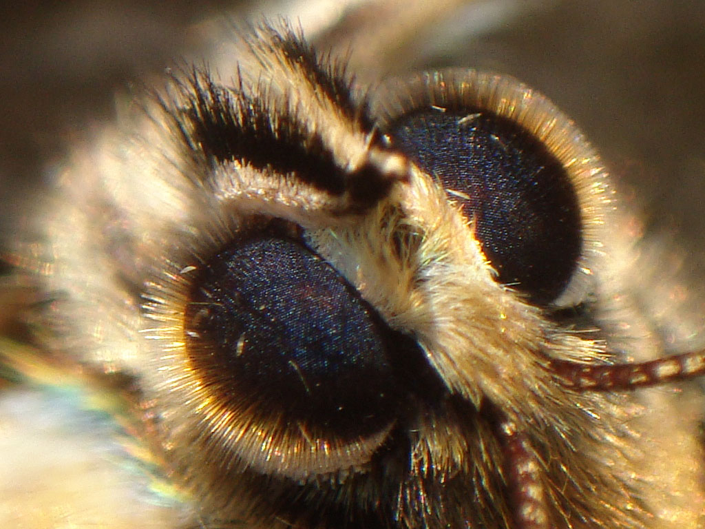 d0089024_16205445.jpg