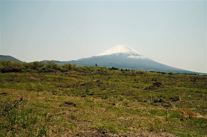 f0040525_2149219.jpg