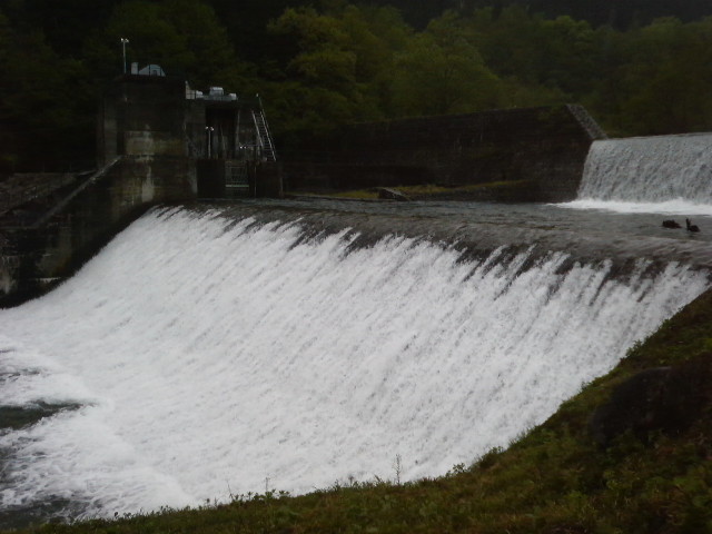 e0047026_21494191.jpg