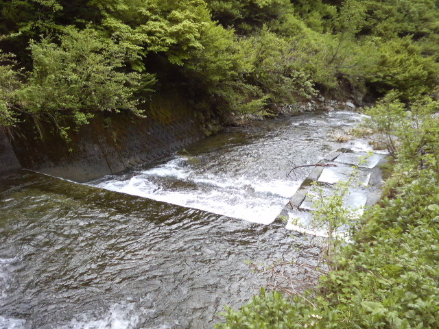 e0047026_21513196.jpg