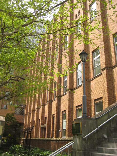 d0147727_21111512.jpg
