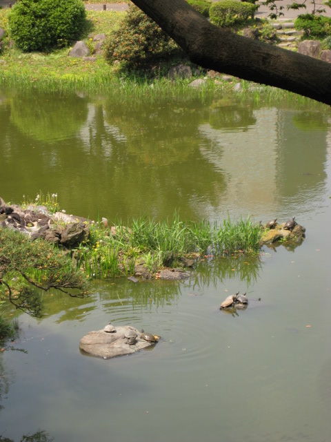 d0147727_2174717.jpg